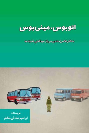 اتوبوس، مینی بوس